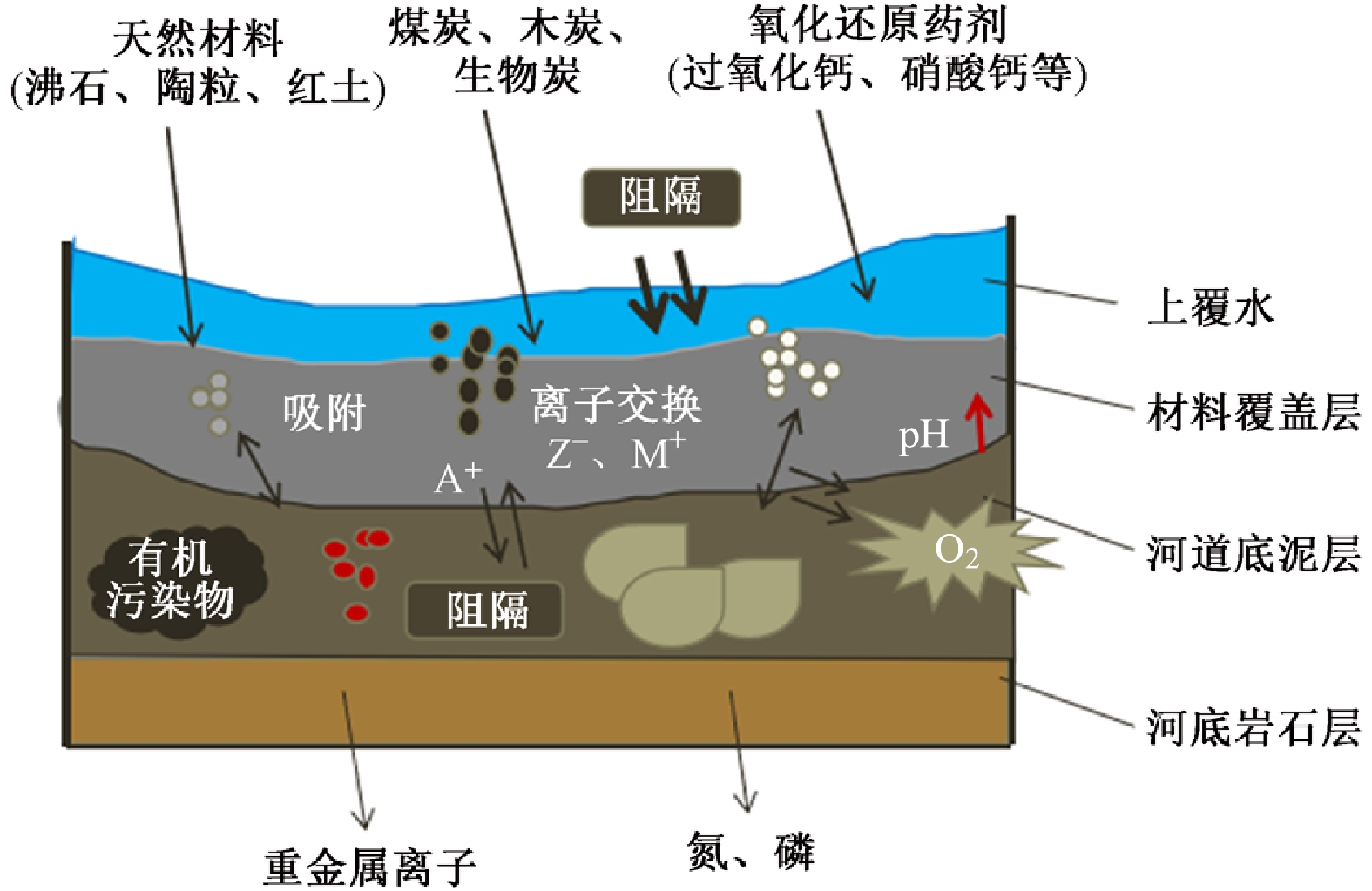 河流污染底泥原位覆盖材料及其应用研究进展