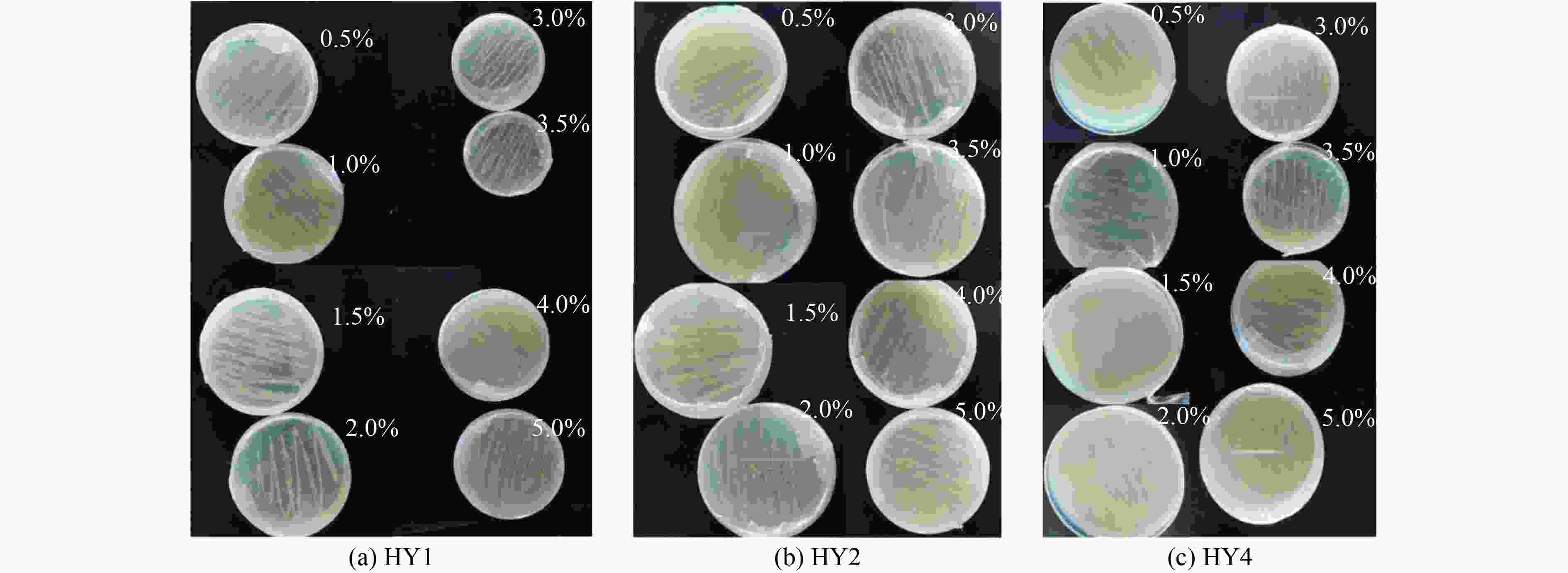 石油分解菌 – 石油を分解する微生物 | CO2か ら石油を作る細菌 – CCMGH