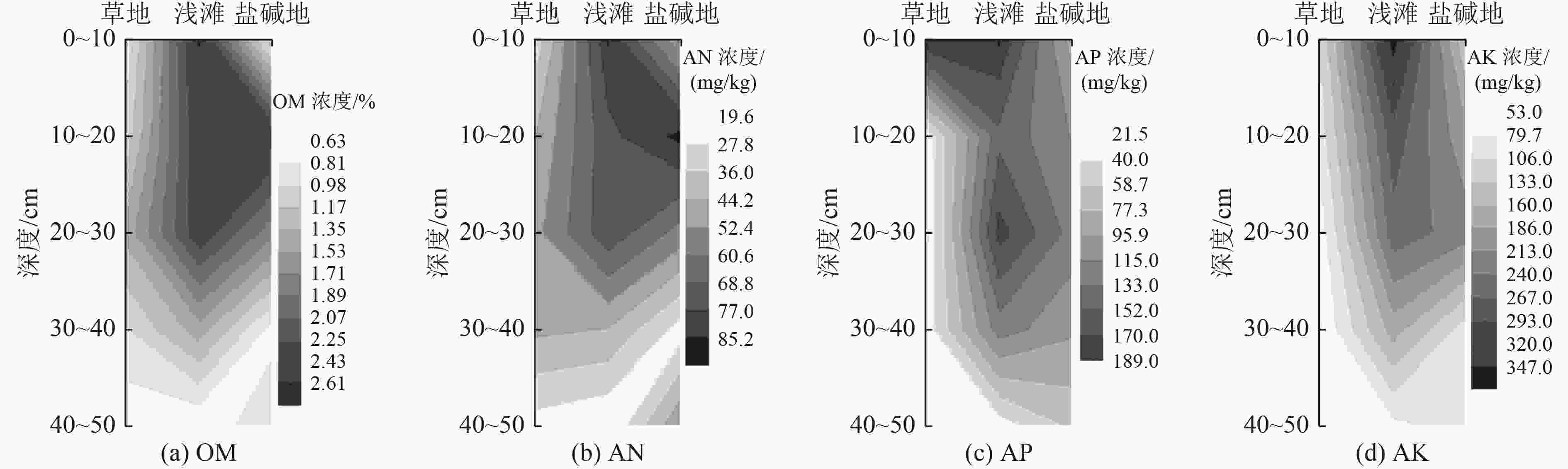 半干旱区湖泊湿地土壤养分与盐碱化特征研究