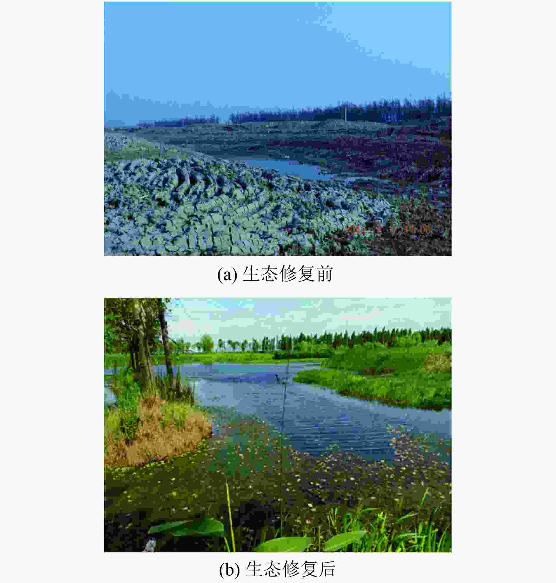 湿地生态修复工程