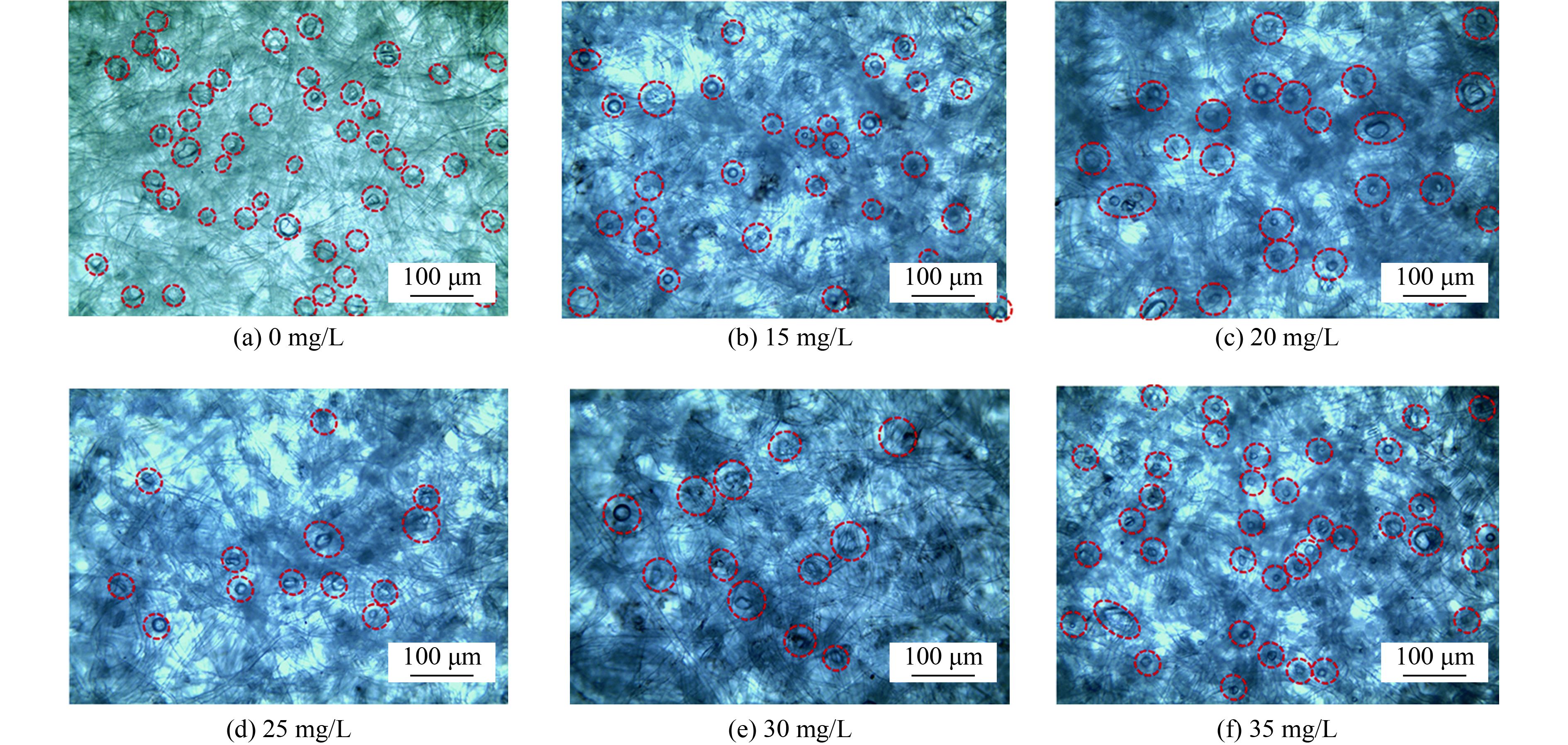 Effect of weathering behavior of polyethylene microplastics in water on Effect of weathering behavior of polyethylene microplastics in water on