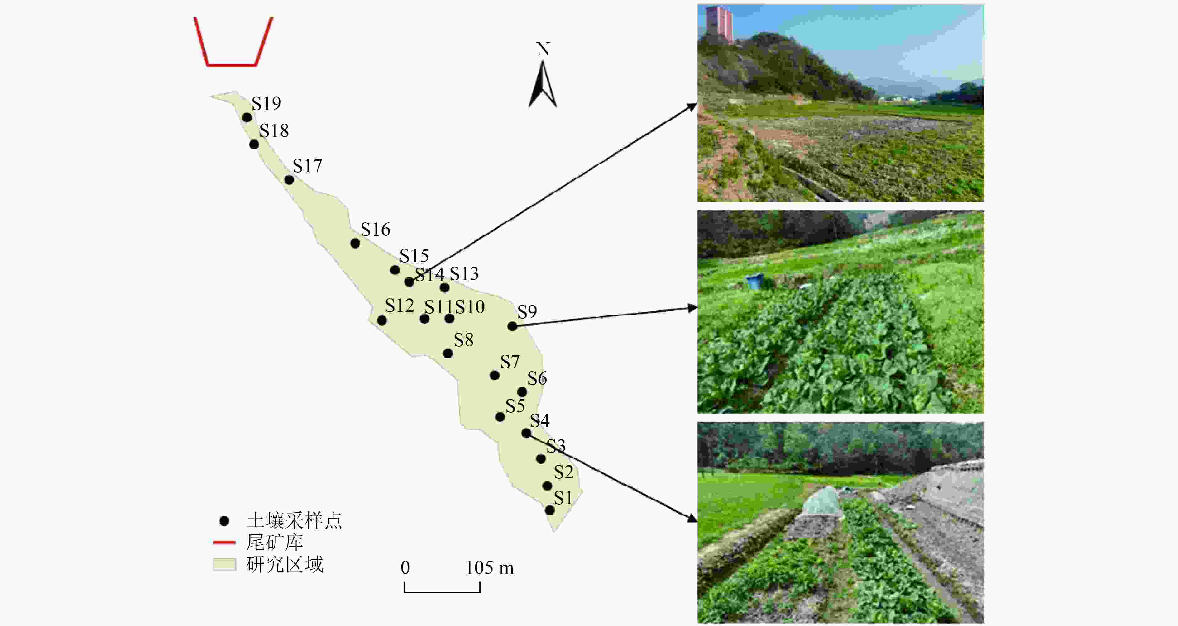 浙江省某尾矿库周边农田土壤重金属污染特征及来源解析