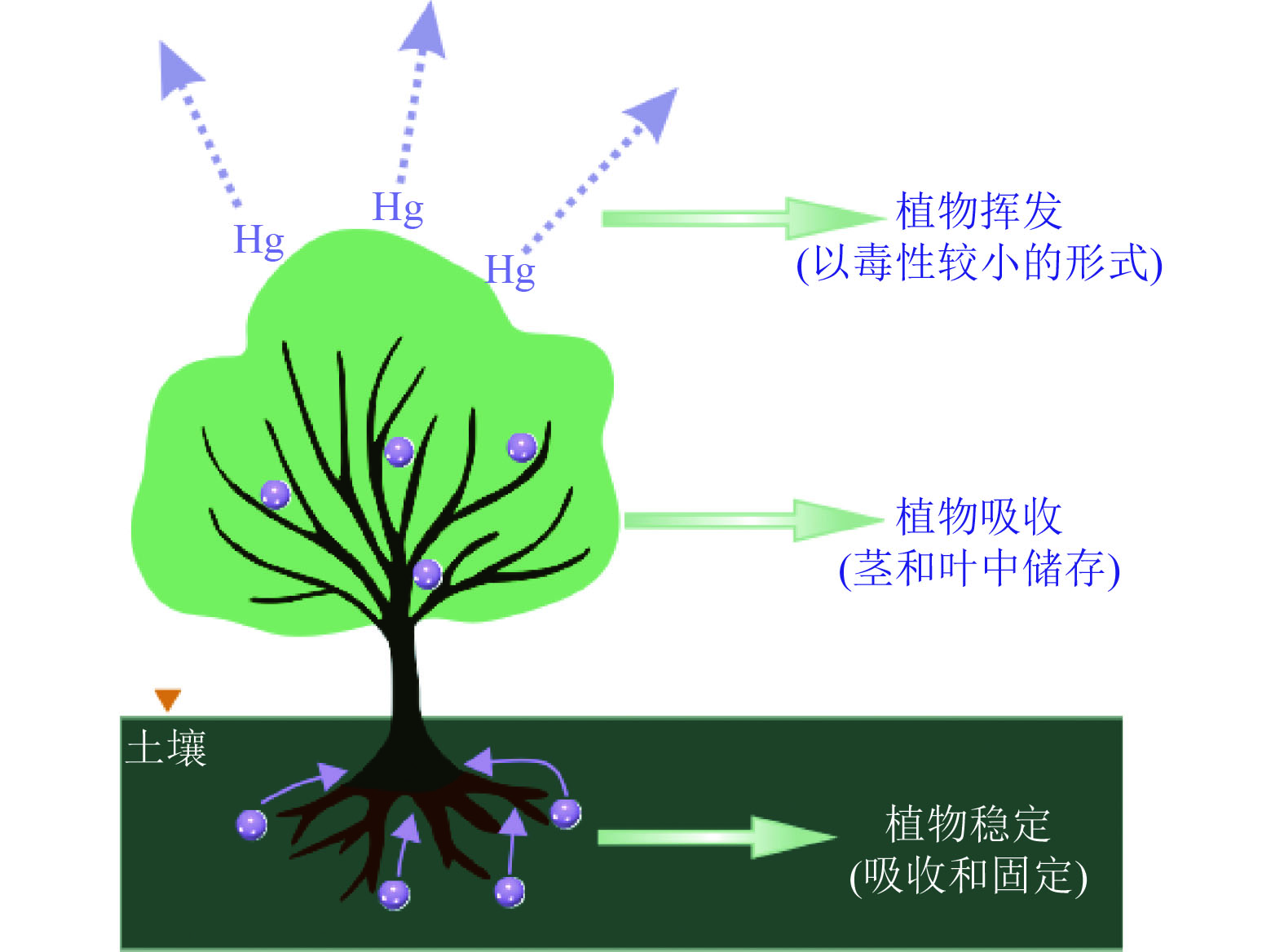 煤矿矿区土壤重金属及多环芳烃污染治理修复技术综述